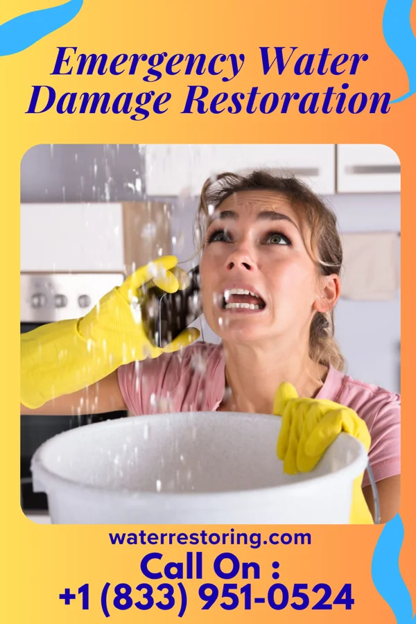 Emergency Water Damage Restoration in Catlin, IL
